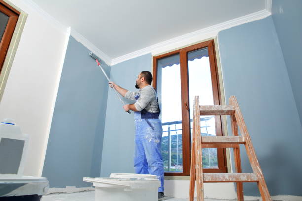 Best Water-Damaged Drywall Repair  in Third Lake, IL